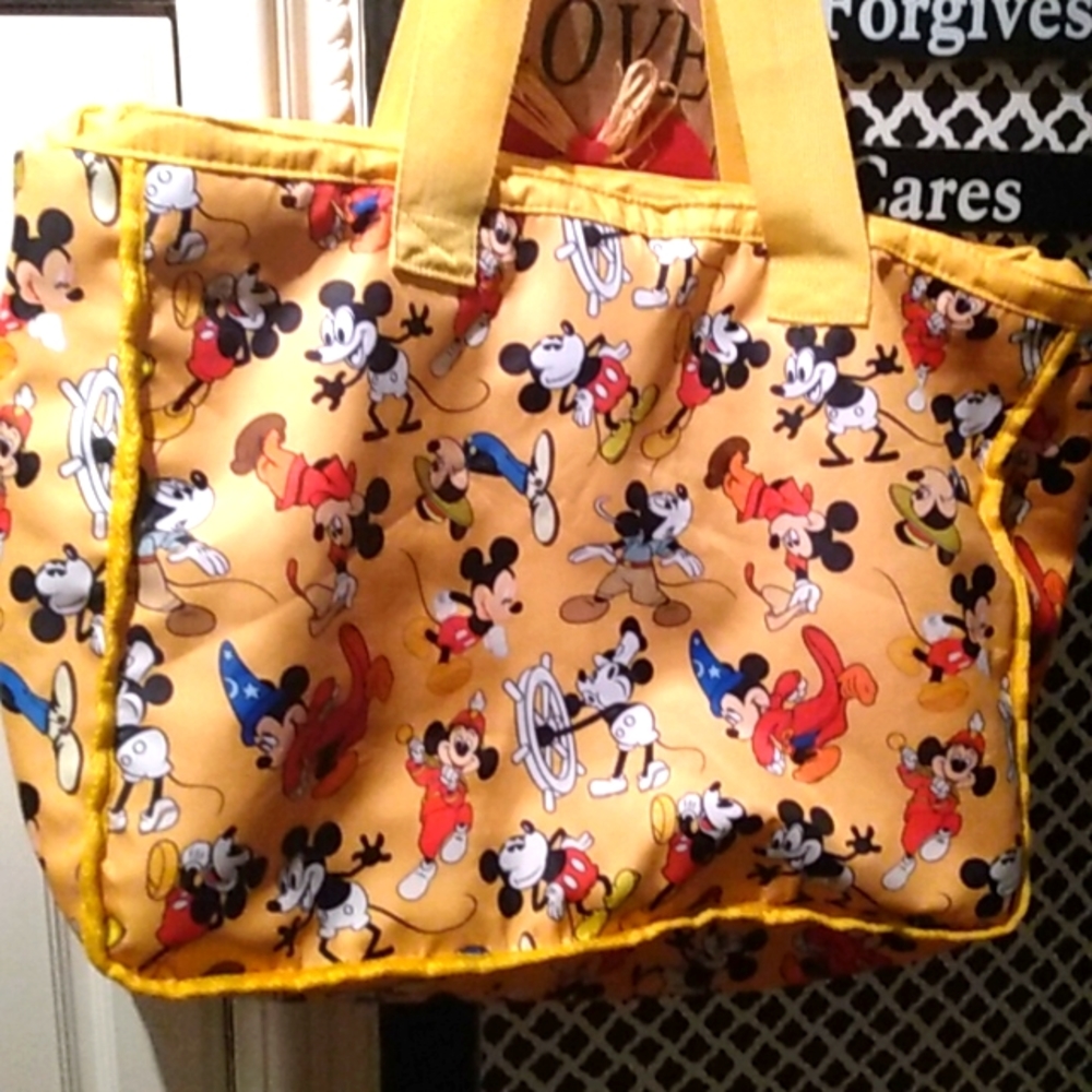 DISNEY PARKS NICE SIZE BAG